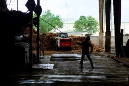 coconut_processing_facility