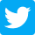 twitter logo (1)